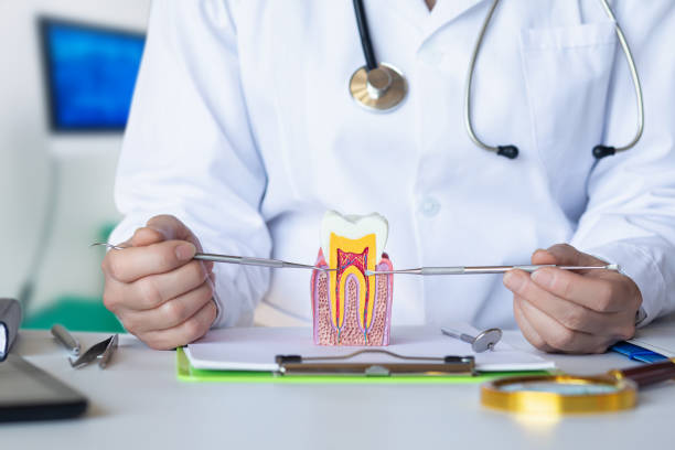 Best Emergency Root Canal Treatment in Balmville, NY